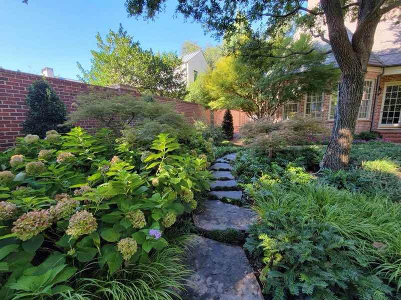 Landscape Design in Highland Park