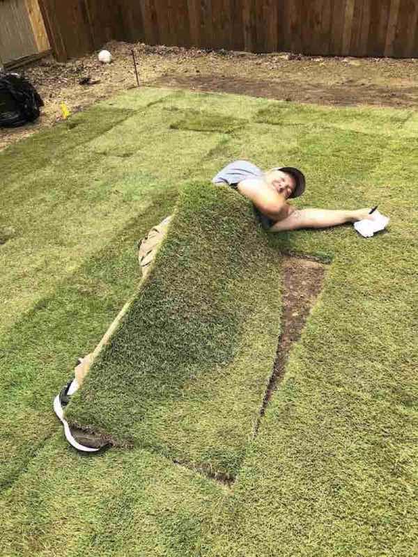 Sod Installation Project near Irving